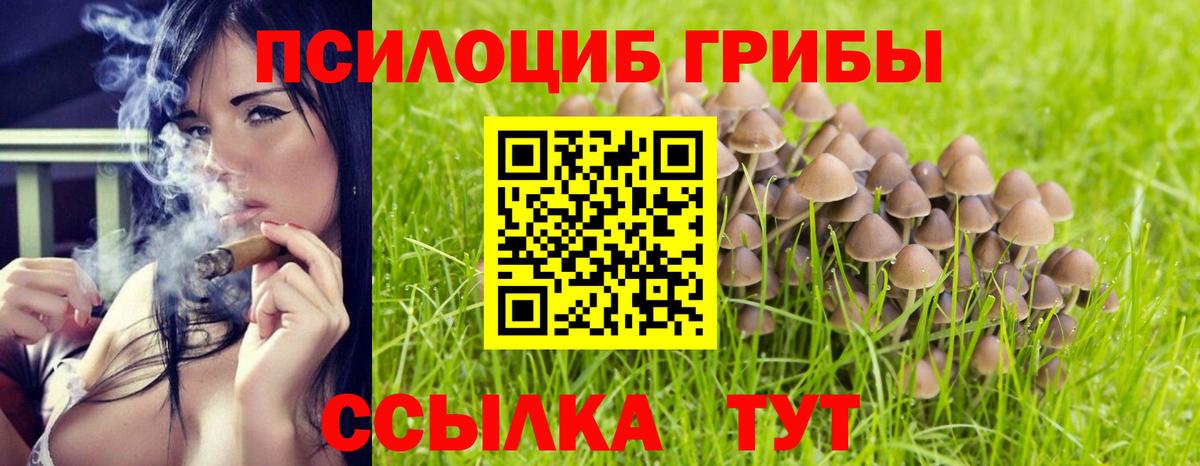 Псилоцибиновые грибы GOLDEN TEACHER Кимовск