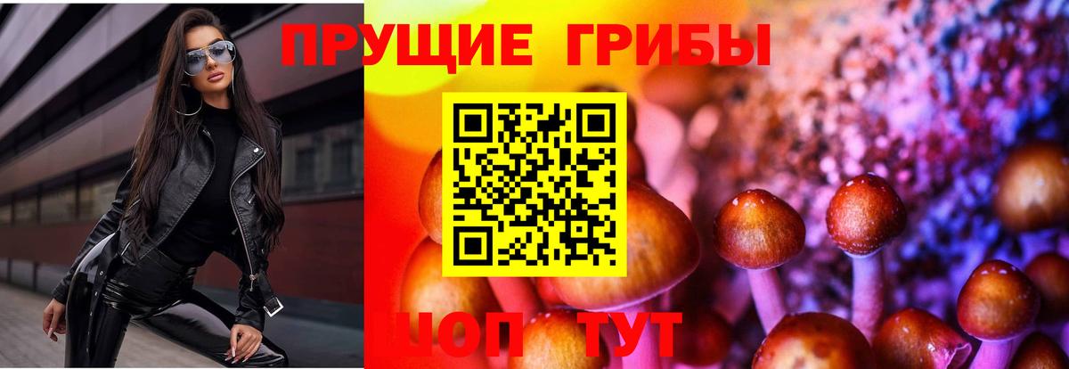Галлюциногенные грибы MAGIC MUSHROOMS  Галлюциногенные грибы ЛСД  Вход с VPN  Кимовск 